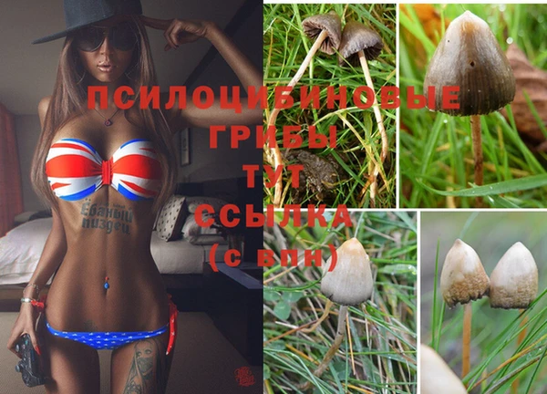 мефедрон Нефтегорск