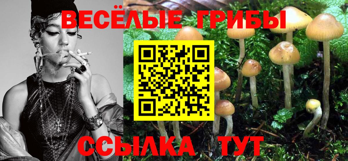 Псилоцибиновые грибы Psilocybine cubensis Советский