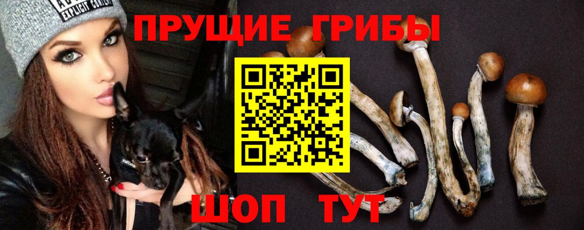 Псилоцибиновые грибы MAGIC MUSHROOMS  Вход с VPN  Советский  Псилоцибиновые грибы Magic Shrooms 